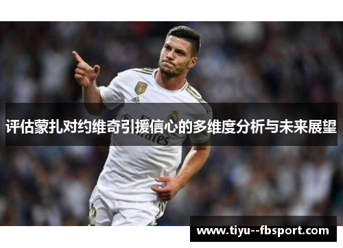 评估蒙扎对约维奇引援信心的多维度分析与未来展望